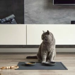 District 70 Set De Table Serve - Gris Anthracite -Promos Wanimo Boutique set de table serve gris anthracite district 1 4