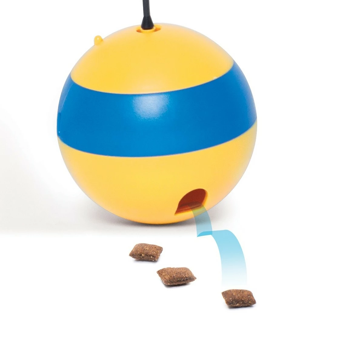 Spinning Bee 3 Spinning Bee – Image 3