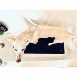 Rosewood Tapis De Bain -Promos Wanimo Boutique tapis de bain rosewood 7