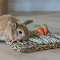 Beeztees Tapis De Jeu Nature 7 Beeztees Tapis De Jeu Nature -Promos Wanimo Boutique tapis de jeu nature beeztees 2