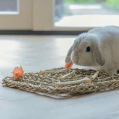 Beeztees Tapis De Jeu Nature 8 Beeztees Tapis De Jeu Nature -Promos Wanimo Boutique tapis de jeu nature beeztees 3