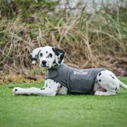 Thundershirt - Gilet De Compression Relaxant 12 Thundershirt - Gilet De Compression Relaxant -Promos Wanimo Boutique thundershirt gilet de compression relaxant thundershirt 3