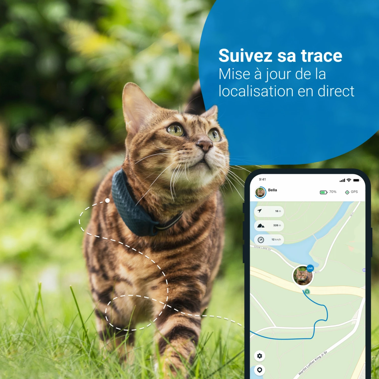 Traceur GPS Pour Chats 3 Traceur GPS Pour Chats – Image 3