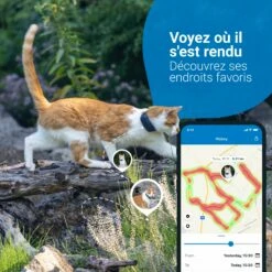 Traceur GPS Pour Chats 11 Traceur GPS Pour Chats -Promos Wanimo Boutique traceur gps pour chats tractive 3