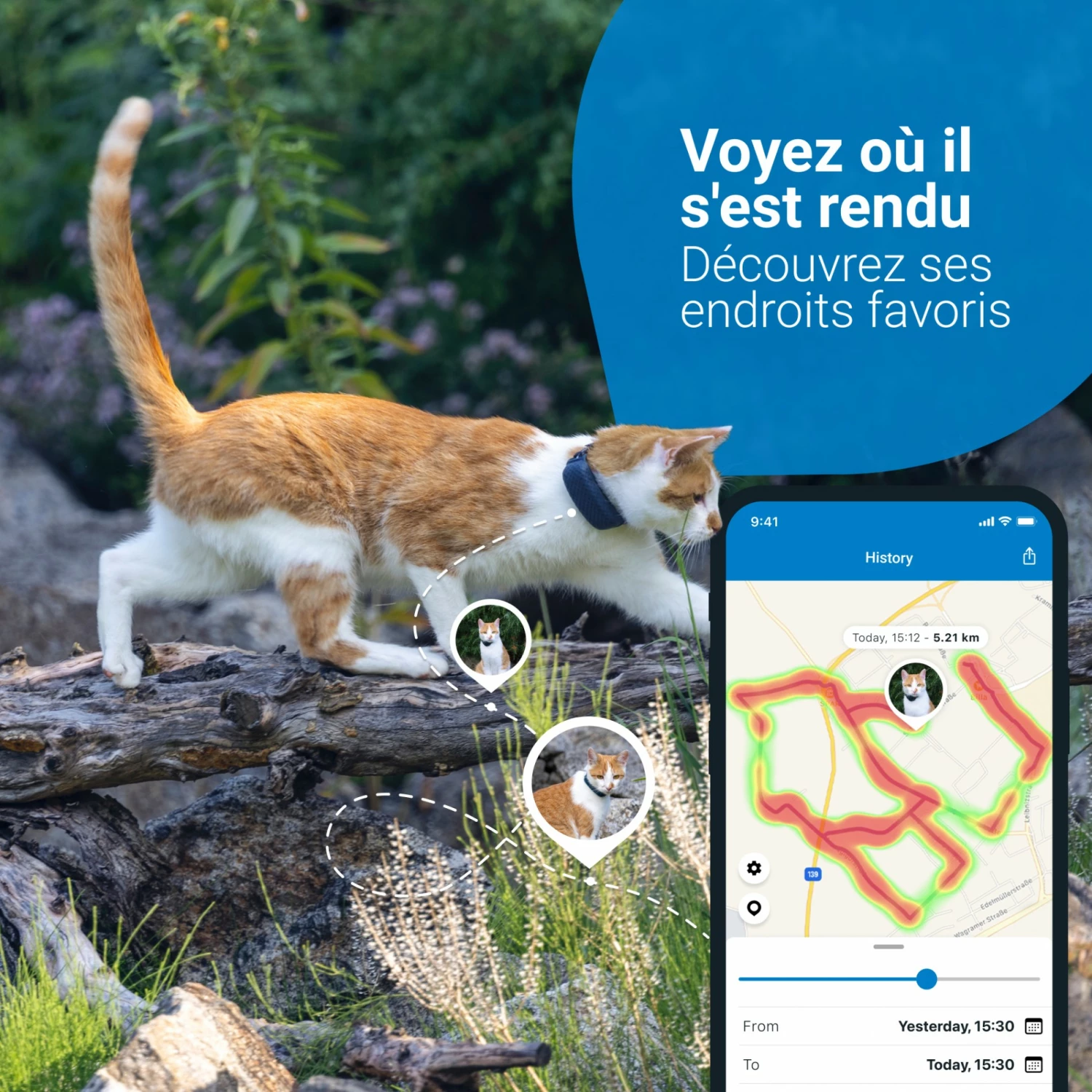 Traceur GPS Pour Chats 4 Traceur GPS Pour Chats – Image 4