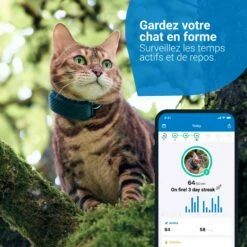 Traceur GPS Pour Chats 13 Traceur GPS Pour Chats -Promos Wanimo Boutique traceur gps pour chats tractive 5