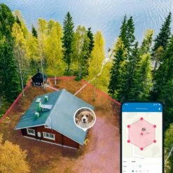 Traceur GPS 4 Pour Chien -Promos Wanimo Boutique traceur gps pour chien tractive 10