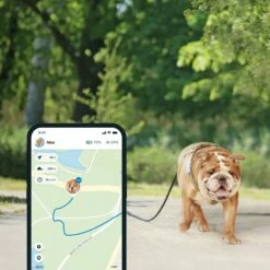 Traceur GPS 4 Pour Chien -Promos Wanimo Boutique traceur gps pour chien tractive 6