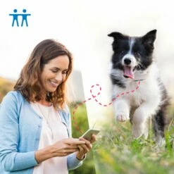 Traceur GPS 4 Pour Chien -Promos Wanimo Boutique traceur gps pour chien tractive 9