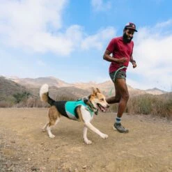 Ruffwear Veste Rafraîchissante Swamp Cooler Zip -Promos Wanimo Boutique veste rafraichissante swamp cooler zip ruffwear 5