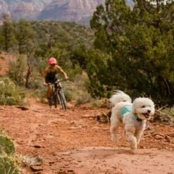 Ruffwear Veste Rafraîchissante Swamp Cooler Zip -Promos Wanimo Boutique veste rafraichissante swamp cooler zip ruffwear 6