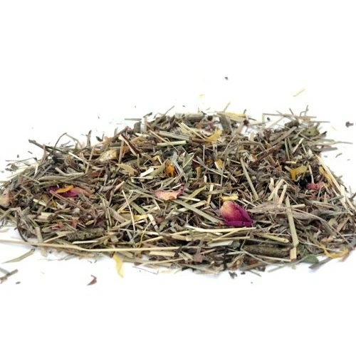 Vet Line Intestinal 2 Vet Line Intestinal – Image 2