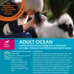 Wellness CORE Ocean Small Breed - Saumon -Promos Wanimo Boutique wellness core ocean small breed saumon ocean small breed saumon 10