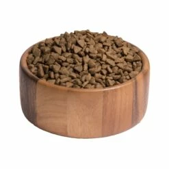 Wellness CORE Ocean Small Breed - Saumon -Promos Wanimo Boutique wellness core ocean small breed saumon ocean small breed saumon 3