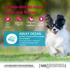 Wellness CORE Ocean Small Breed - Saumon -Promos Wanimo Boutique wellness core ocean small breed saumon ocean small breed saumon 9