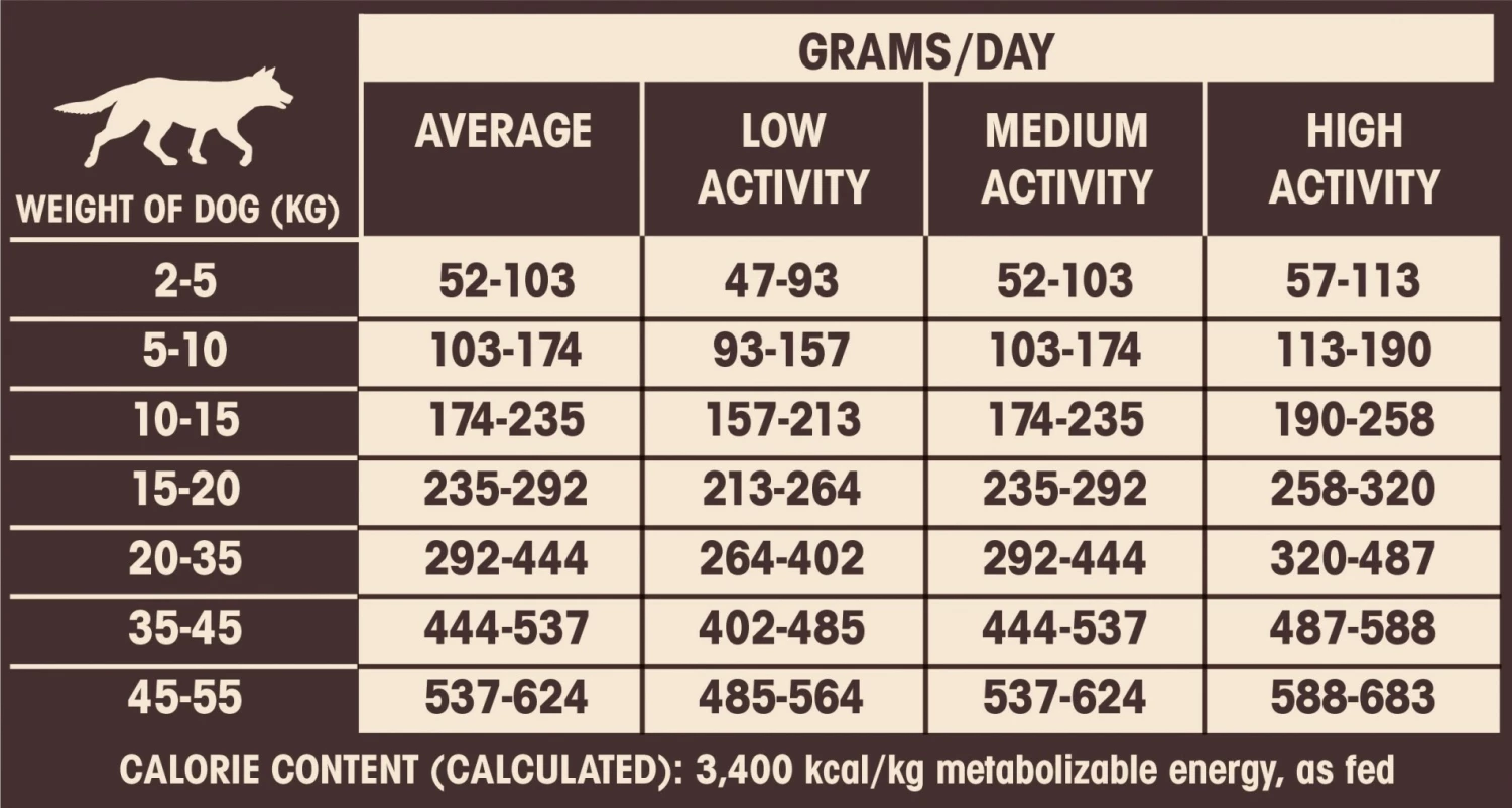 Wellness CORE Senior - Dinde Et Poulet 5 Wellness CORE Senior - Dinde Et Poulet – Image 5