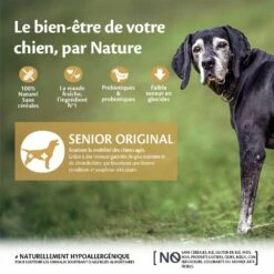 Wellness CORE Senior - Dinde Et Poulet 18 Wellness CORE Senior - Dinde Et Poulet -Promos Wanimo Boutique wellness core senior dinde et poulet senior dinde et poulet 8