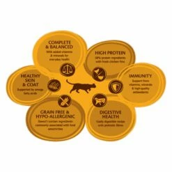 Wellness CORE Sterilised - Poulet Et Dinde -Promos Wanimo Boutique wellness core sterilised poulet et dinde sterilised poulet et dinde 7