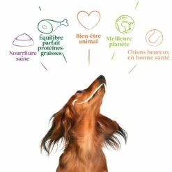 Yarrah Bouchées Bio - Lot 12 X 150g -Promos Wanimo Boutique yarrah bouchees bio lot x g 1 14