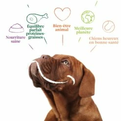 Yarrah Bouchées Bio - Lot 12 X 405 G -Promos Wanimo Boutique yarrah bouchees bio lot x g 1 30