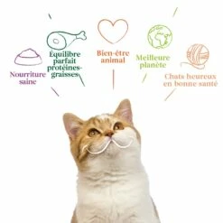 Yarrah Bouchées Bio Sans Céréales - Lot 16 X 100g -Promos Wanimo Boutique yarrah bouchees bio sans cereales lot x g 1 3