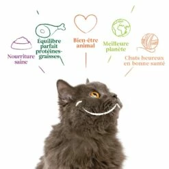 Yarrah Bouchées Bio Sans Céréales - Lot 16 X 100g -Promos Wanimo Boutique yarrah bouchees bio sans cereales lot x g 1 8