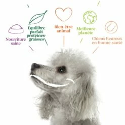 Yarrah Bouchées Bio Vegan - Lot De 12 X 380 G 10 Yarrah Bouchées Bio Vegan - Lot De 12 X 380 G -Promos Wanimo Boutique yarrah bouchees bio vegan lot de x g 1 4