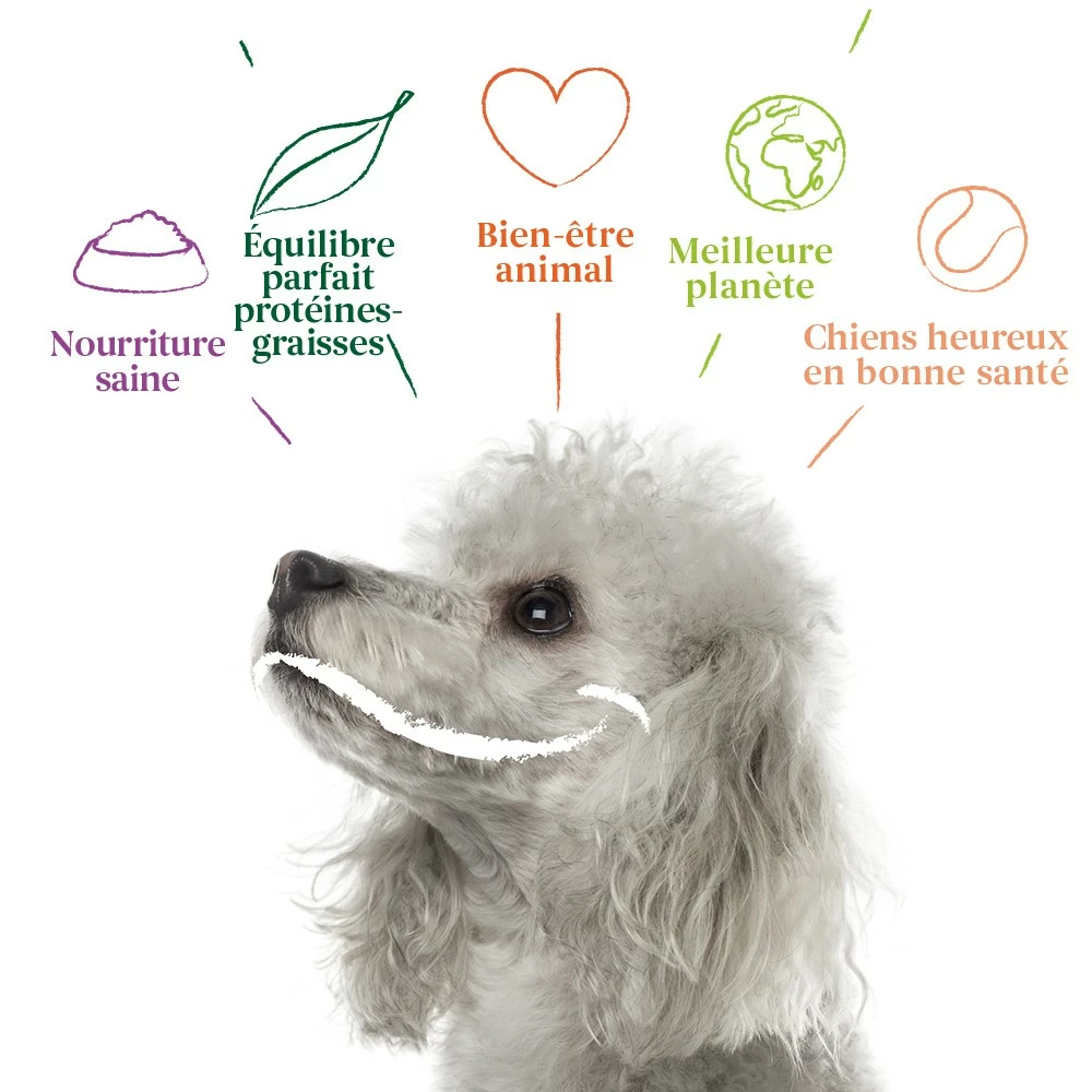 Yarrah Bouchées Bio Vegan - Lot De 12 X 380 G 5 Yarrah Bouchées Bio Vegan - Lot De 12 X 380 G – Image 5