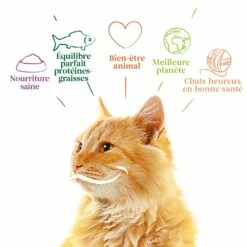 Yarrah Croquettes Bio Pour Chat Adulte -Promos Wanimo Boutique yarrah croquettes bio pour chat adulte 1 5