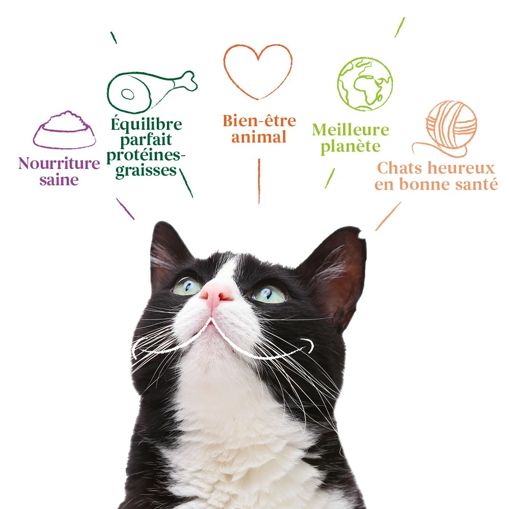 Yarrah Croquettes Bio Pour Chat Stérilisé 5 Yarrah Croquettes Bio Pour Chat Stérilisé – Image 5