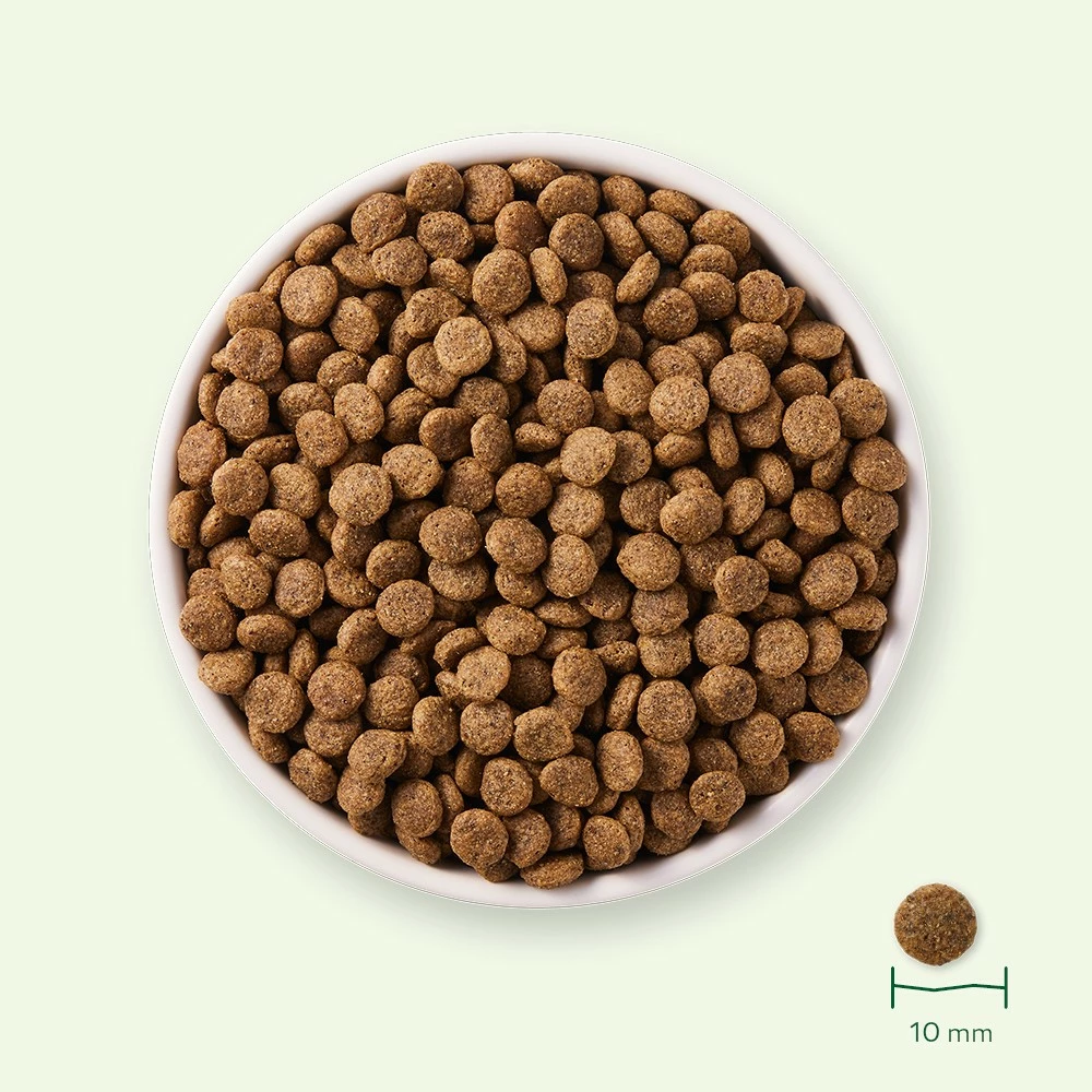 Yarrah Croquettes Bio Pour Chat Stérilisé 6 Yarrah Croquettes Bio Pour Chat Stérilisé – Image 6