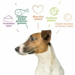 Yarrah Croquettes Bio Pour Chien De Petite Race -Promos Wanimo Boutique yarrah croquettes bio pour chien de petite race 1 2