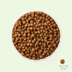 Yarrah Croquettes Bio Pour Chien De Petite Race -Promos Wanimo Boutique yarrah croquettes bio pour chien de petite race 1 3