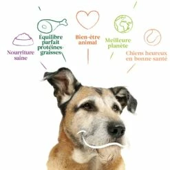 Yarrah Croquettes Bio Pour Chien Senior -Promos Wanimo Boutique yarrah croquettes bio pour chien senior 1 3