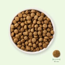 Yarrah Croquettes Bio Pour Chien Sensible -Promos Wanimo Boutique yarrah croquettes bio pour chien sensible 1 2