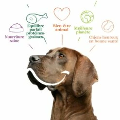 Yarrah Croquettes Bio Pour Chien Sensible -Promos Wanimo Boutique yarrah croquettes bio pour chien sensible 1 3