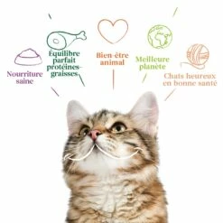 Yarrah Croquettes Bio Sans Céréales Pour Chat Adulte -Promos Wanimo Boutique yarrah croquettes bio sans cereales pour chat adulte 1 4