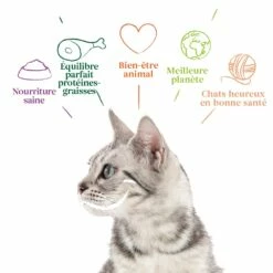 Yarrah Filets Bio En Sauce - Lot 14 X 85 G -Promos Wanimo Boutique yarrah filets bio en sauce lot x g 1 3