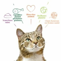 Yarrah Pâtée Bio Sans Céréales - Lot 16 X 100g -Promos Wanimo Boutique yarrah patee bio sans cereales lot x g 1 3