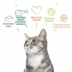 Yarrah Pâtée Bio Sans Céréales - Lot 16 X 100g -Promos Wanimo Boutique yarrah patee bio sans cereales lot x g 1 7