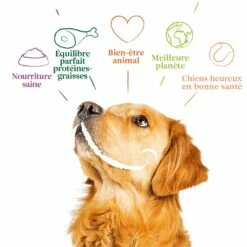 Yarrah Pâtées Bio - Lot 12 X 400 G -Promos Wanimo Boutique yarrah patees bio lot x g 1 14