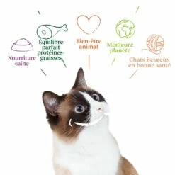 Yarrah Pâtées Bio - Lot 12 X 400g -Promos Wanimo Boutique yarrah patees bio lot x g 1 2