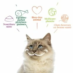 Yarrah Pâtées Bio - Lot 12 X 400g -Promos Wanimo Boutique yarrah patees bio lot x g 1 9