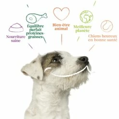 Yarrah Pâtées Bio - 12 X 150 G -Promos Wanimo Boutique yarrah patees bio x g patee biologique x g 3